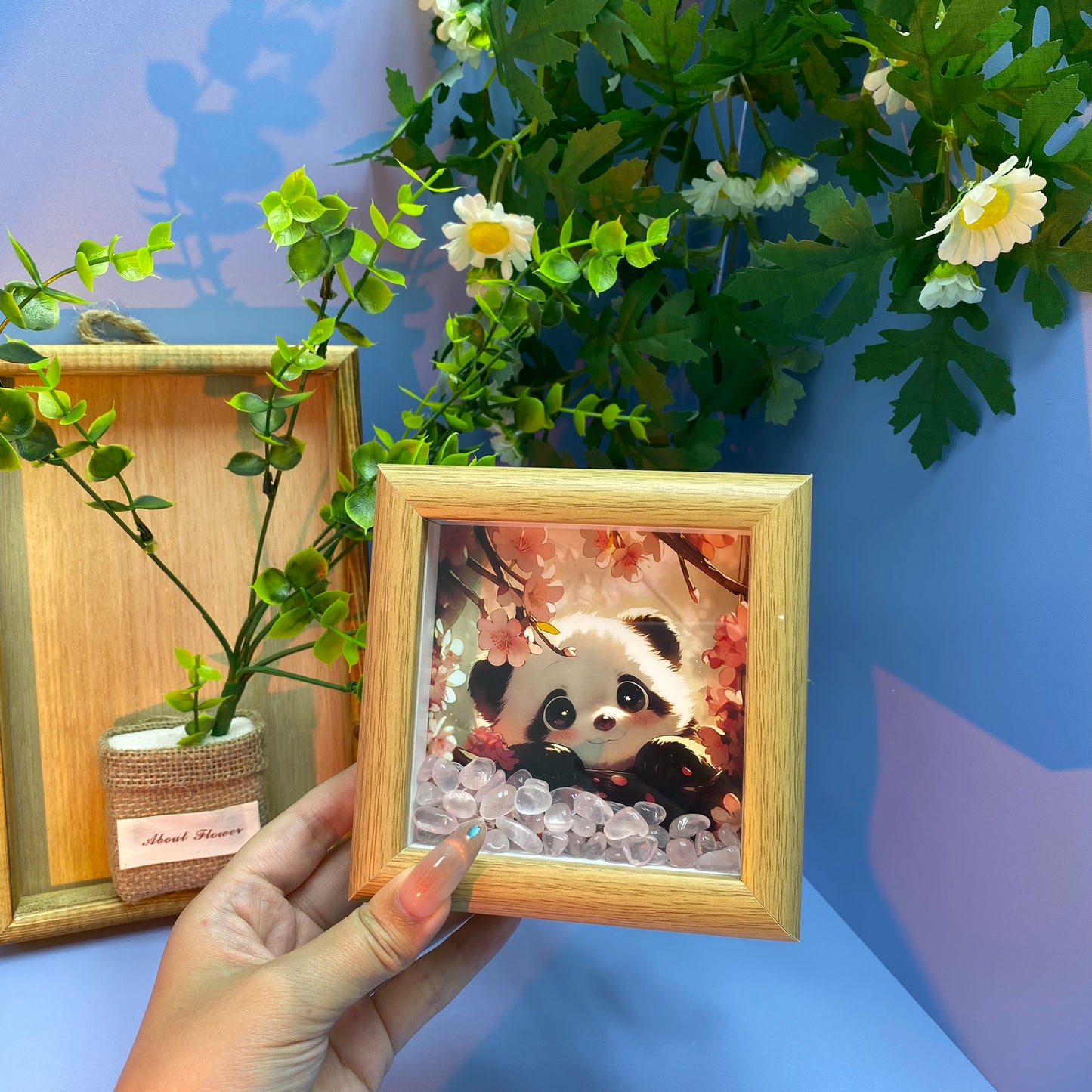 Cute panda album