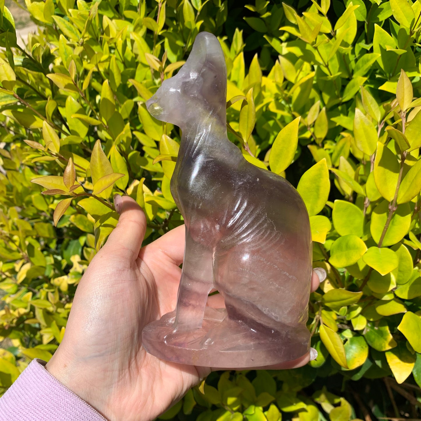 Fluorite Egyptian Cat