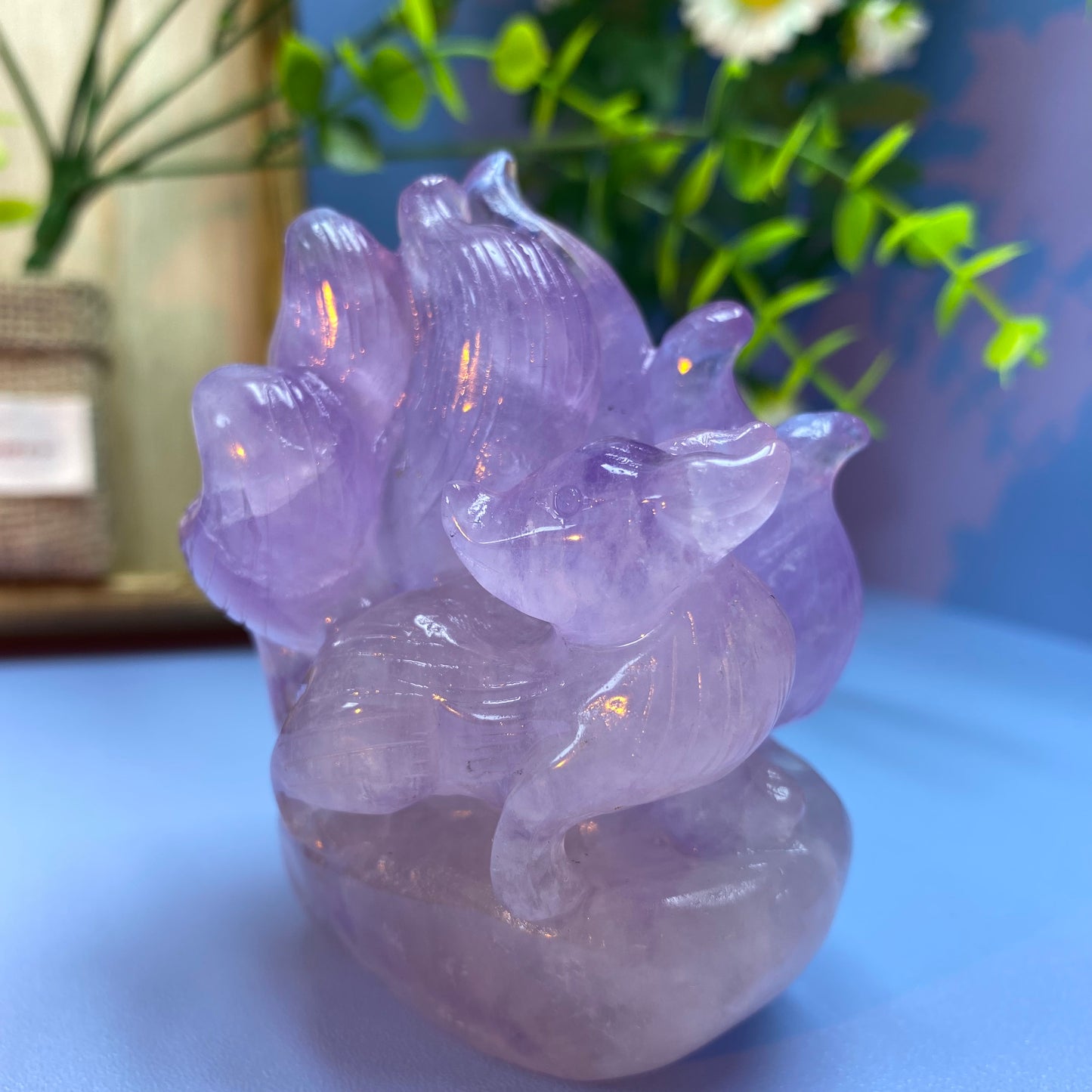 C2 Amethyst ninetail fox