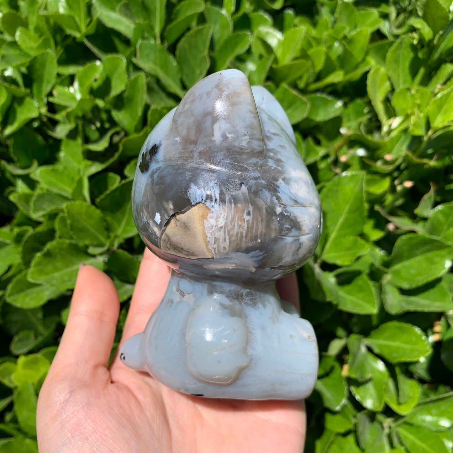 Volcano agate HK