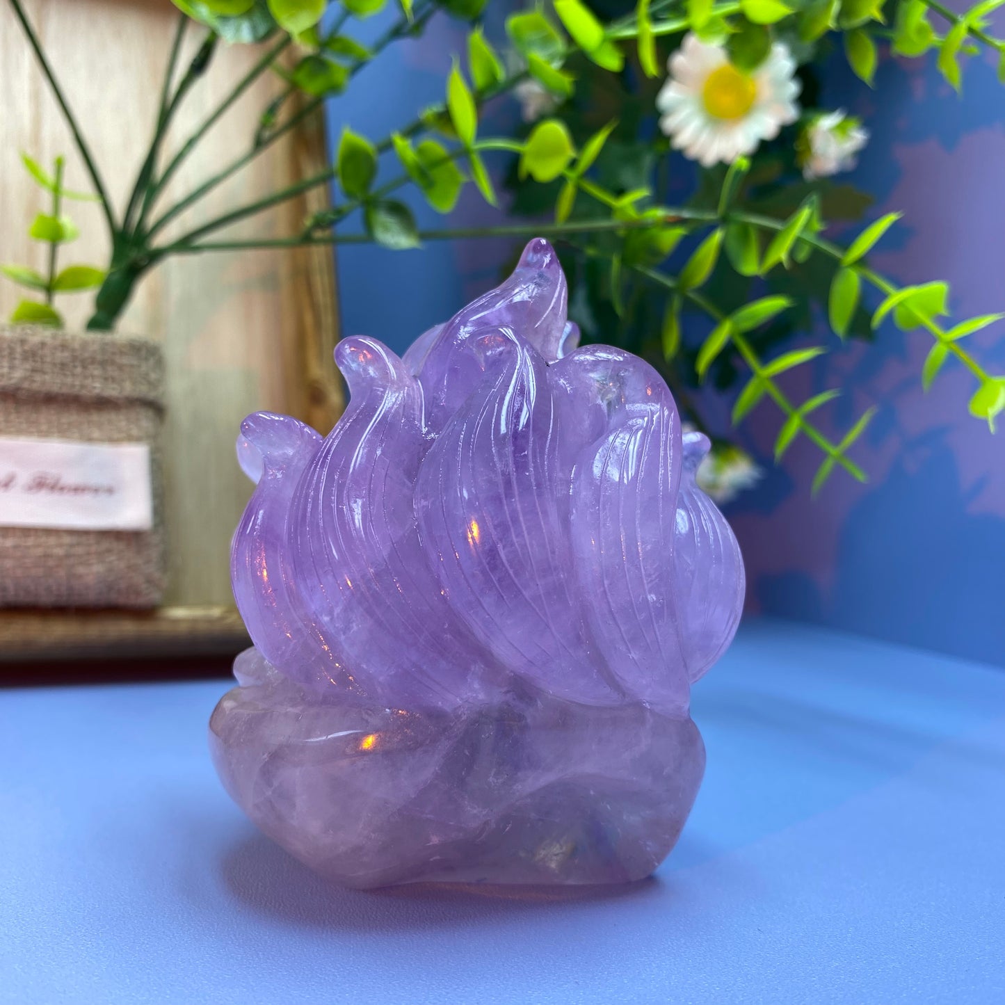 C2 Amethyst ninetail fox