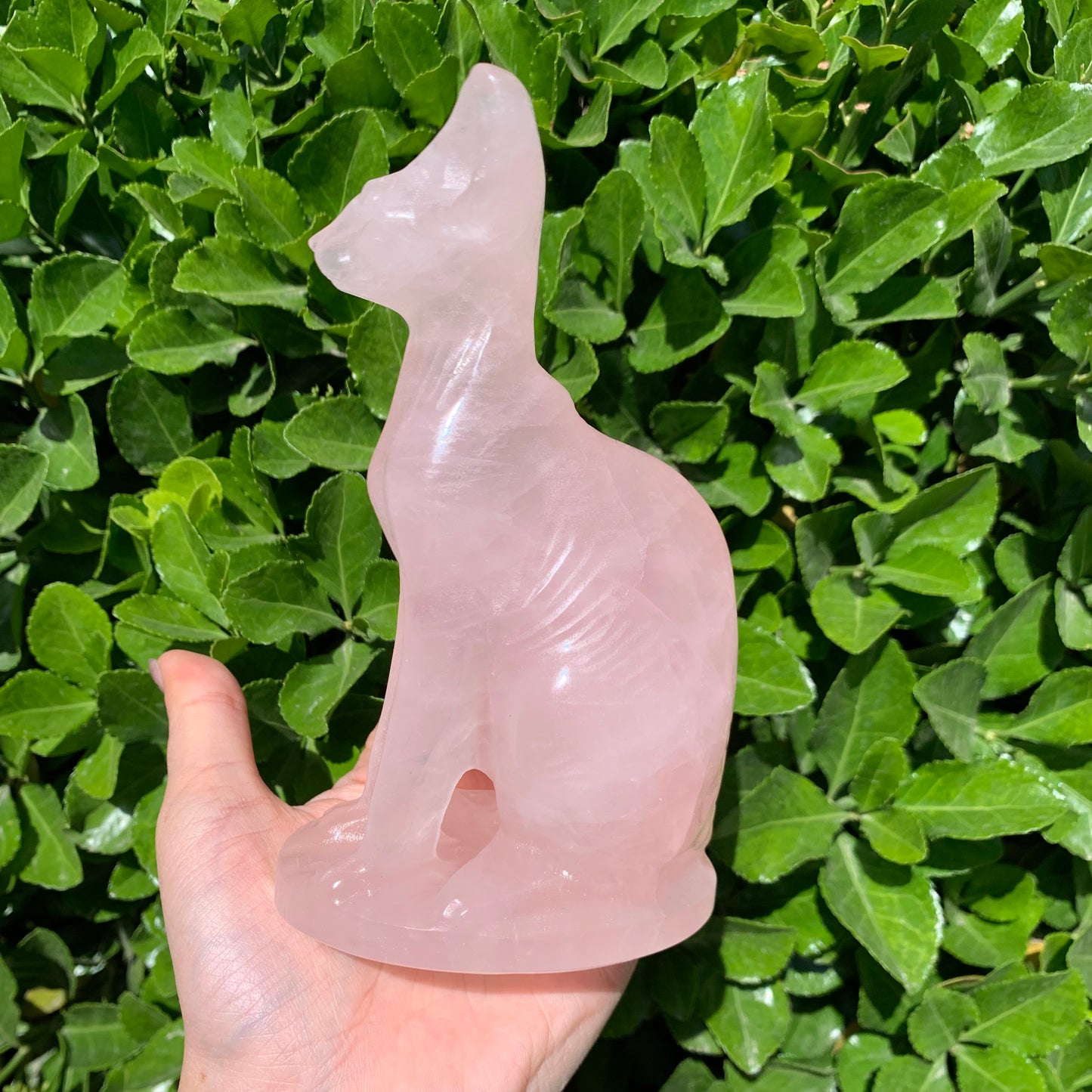 Rose quartz Egyptian Cat