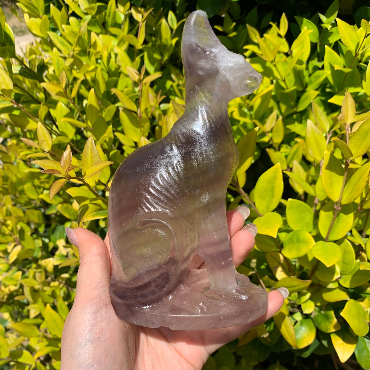 Fluorite Egyptian Cat