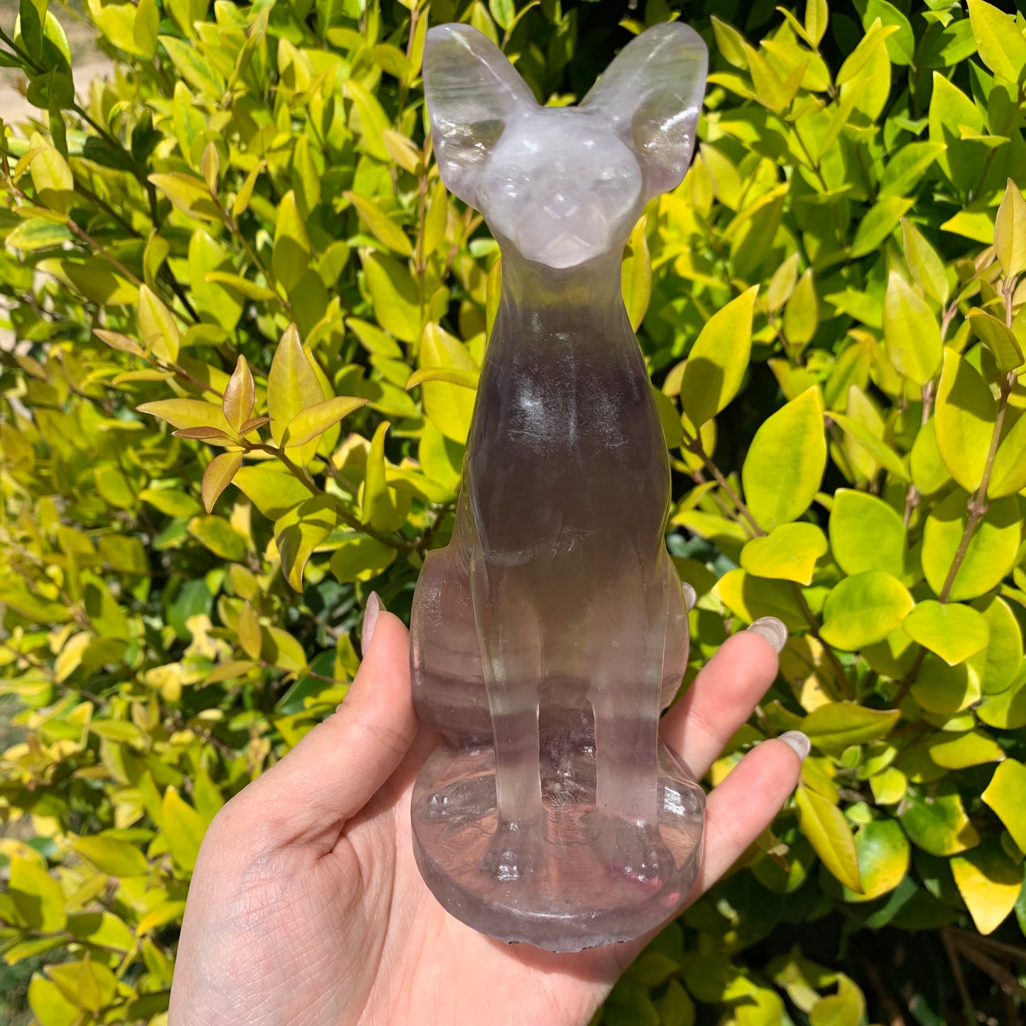 Fluorite Egyptian Cat