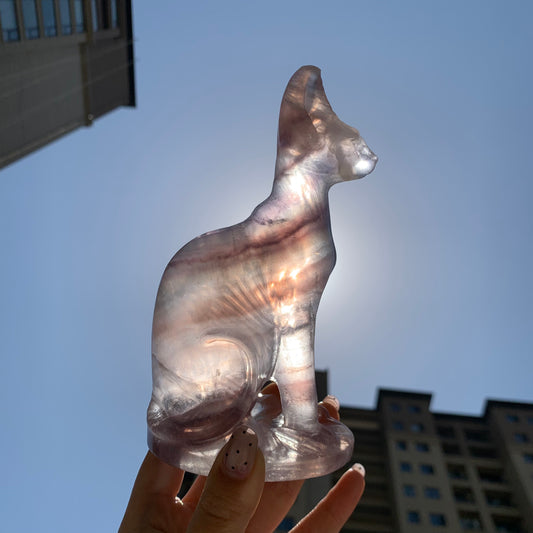 Fluorite Egyptian Cat